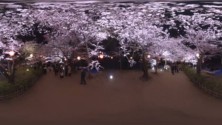 満開！香川県屈指のお花見スポット ～高松市・栗林公園～：1枚目