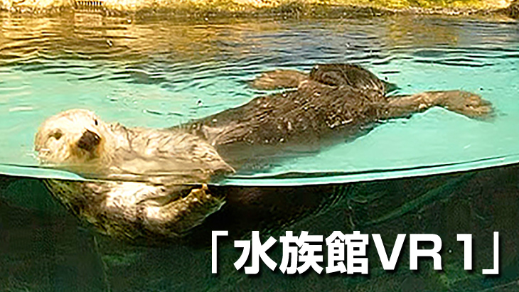 【無料】水族館VR 1