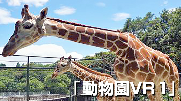 【無料】動物園VR 1